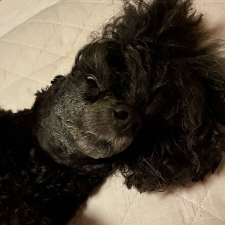 Da8a20b1 700f 4ef7 940f a02776cf5bf7 1663630371623