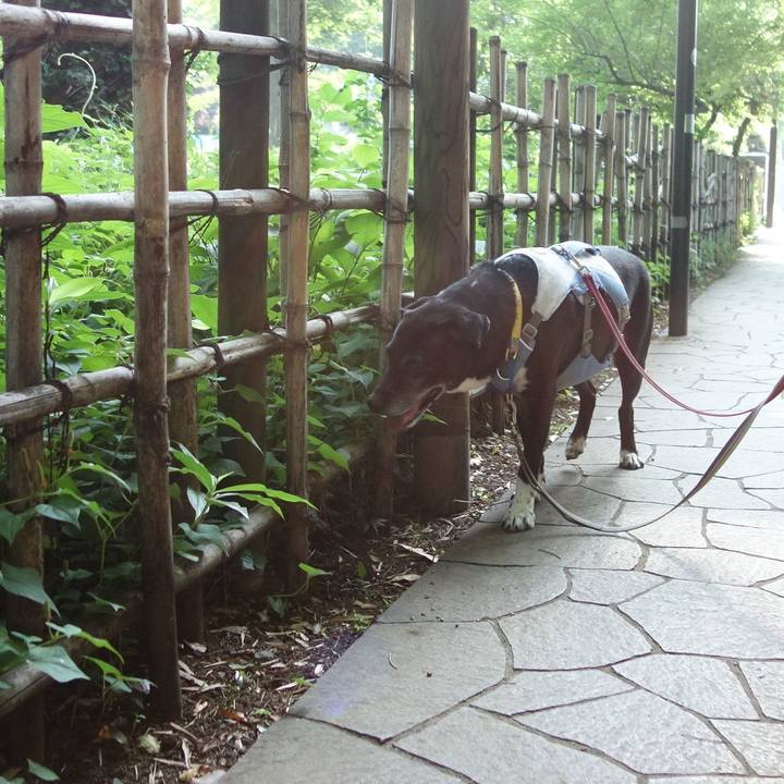 Da8a335a 4993 4ccf a543 a4e2220412f1 1751329228161