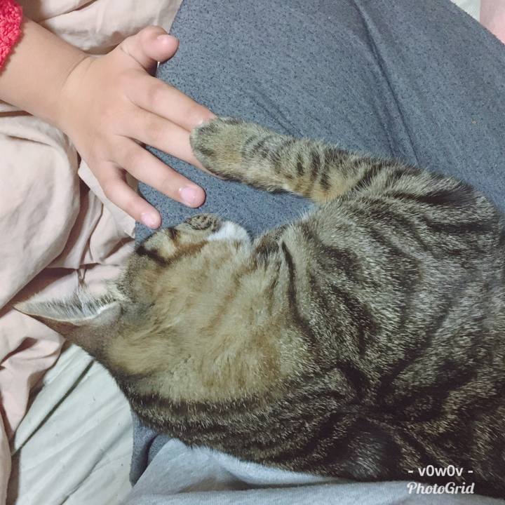 Da8a7943 b198 4651 b384 57599a7875cb 1547156669890