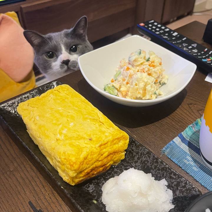 Da8a9290 565b 40a2 8c5a fc1094865dbf 1752490405102