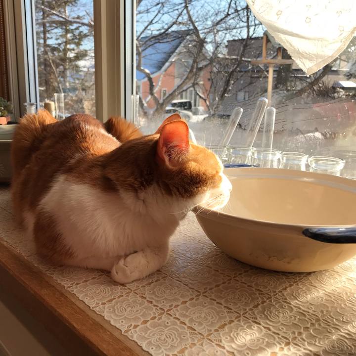 Da8a994c 7c99 4a93 87d2 b12d031105c8 1578097509063