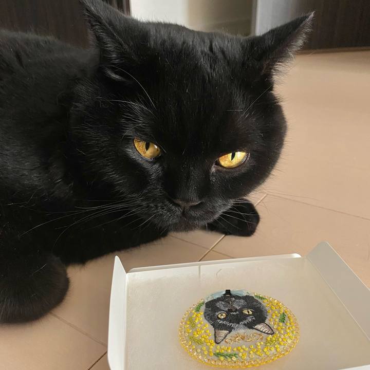 Da8b05b3 ca4b 41fb be6b 8c55cee32508 1688278395390