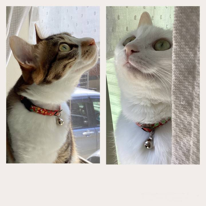 Da8b55da 0b61 4331 a95d 79ab73e5074c 1684284245113