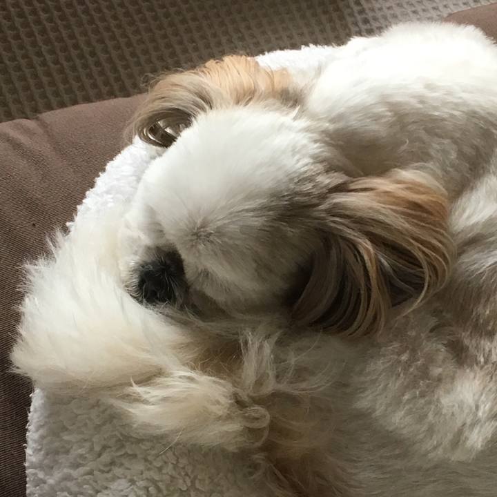 Da8b899b 2714 43b9 b78a 0544d84bcb5b 1532492205065