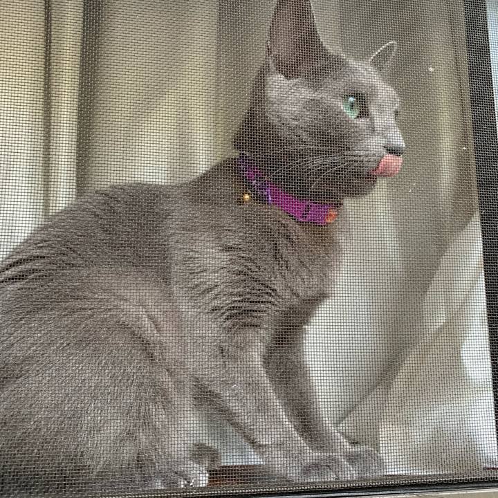 Da8b9ac7 071f 4d92 aa9c 3a3095ab7060 1629935690075