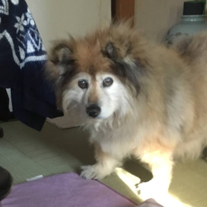 Da8ba11e 1060 4d48 8afc 3fca70269d16 1569071140610