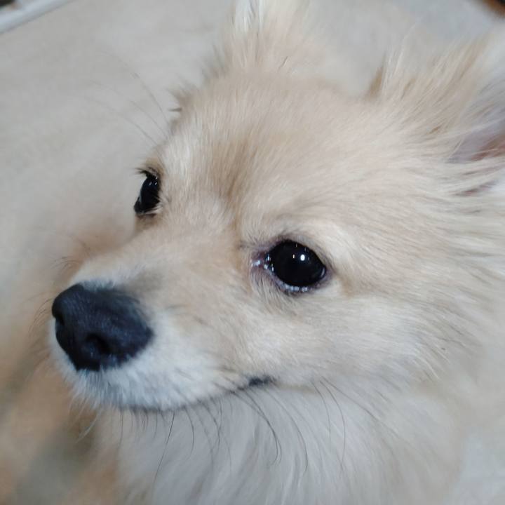 Da8bb632 880a 4432 accb c7ceb6d80db0 1737788436028