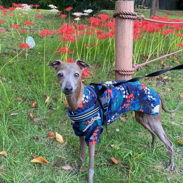 Da8bc8f1 06c5 466f abe8 a4e21caf19cd 1759041985632