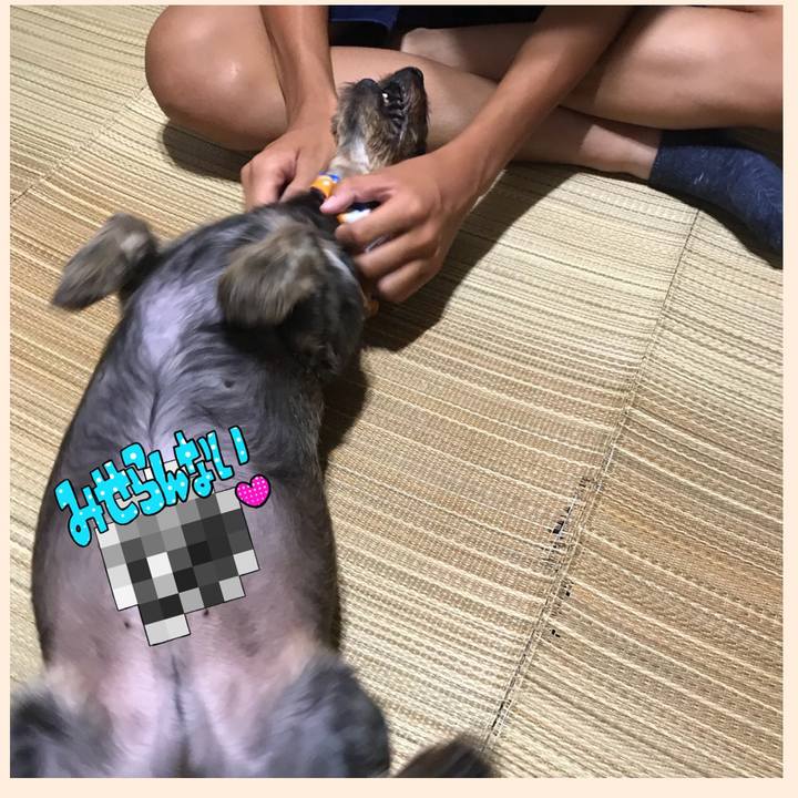 Da8bcd74 7a80 4311 99e7 5a26a6c1eb8d 1534329300453