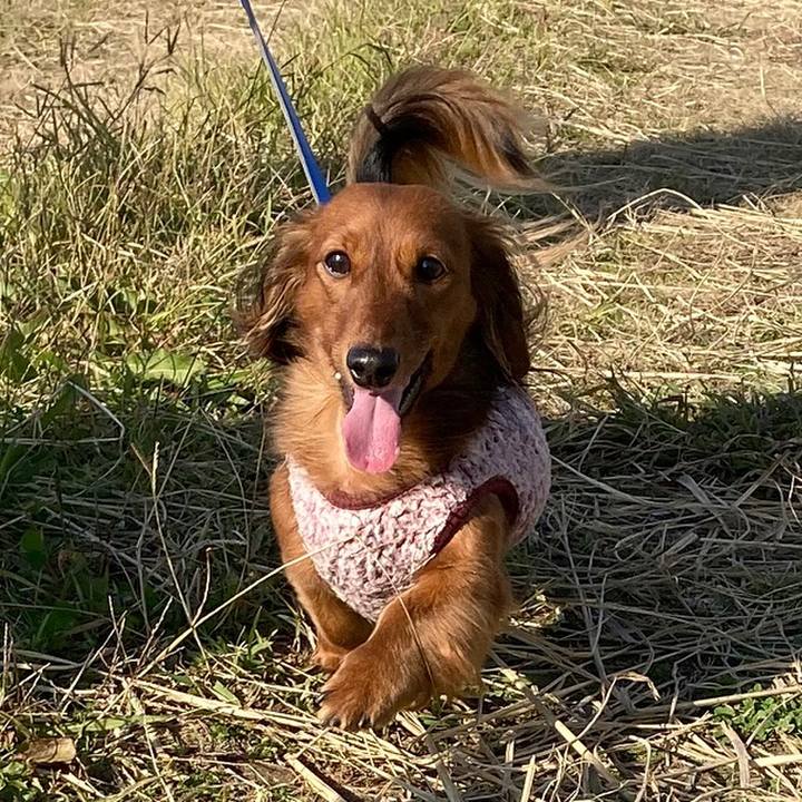 Da8bcf99 9755 43a3 8430 5da98414d264 1763279734628