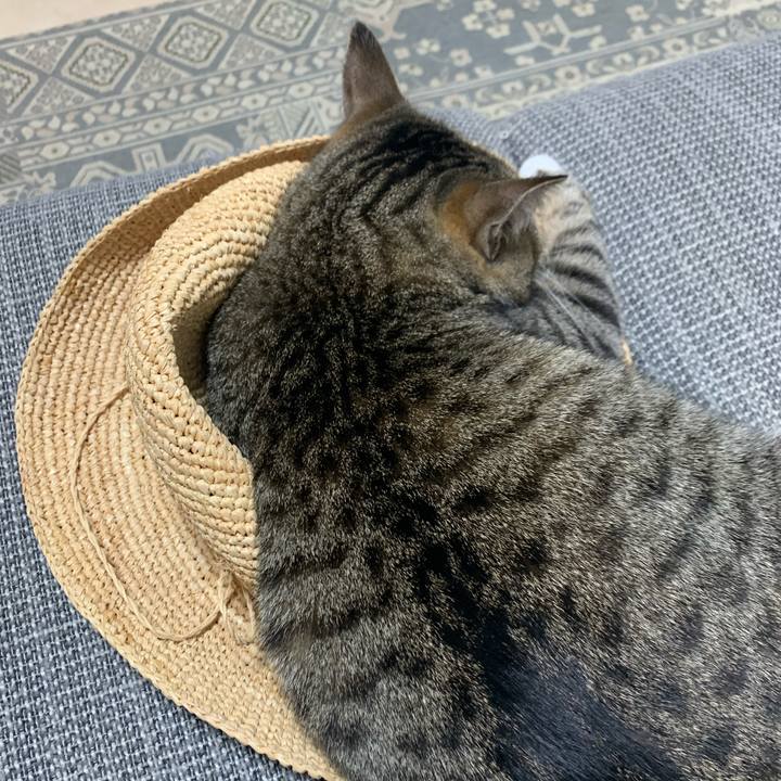 Da8c2880 01b9 4c05 980c 3642329b8fc3 1627190246098