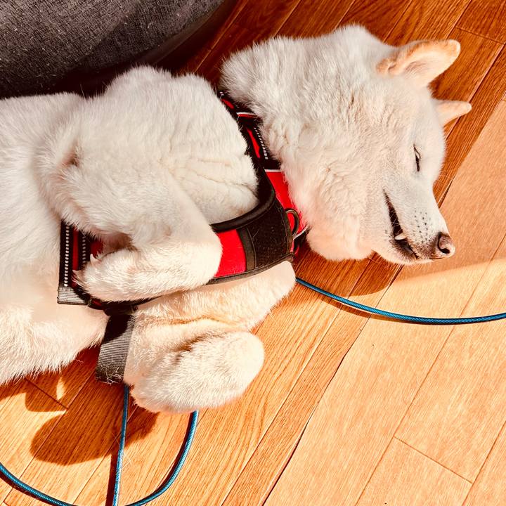 Da8c2fb3 c845 445e 9861 db1ca7dec45a 1709890518090