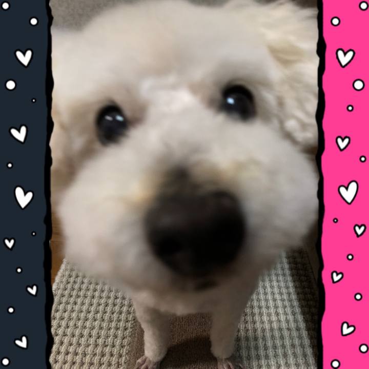 Da8c66f7 c563 4cd8 9f83 06c5475d149a 1525485274087