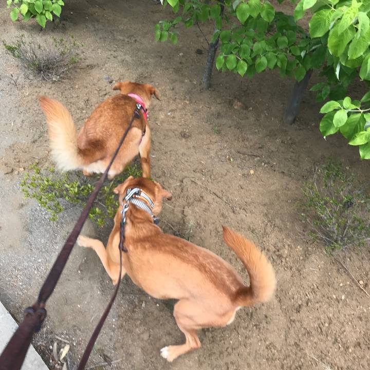 Da8c7e5a ae50 4083 b6c3 1181af879e27 1532662791595