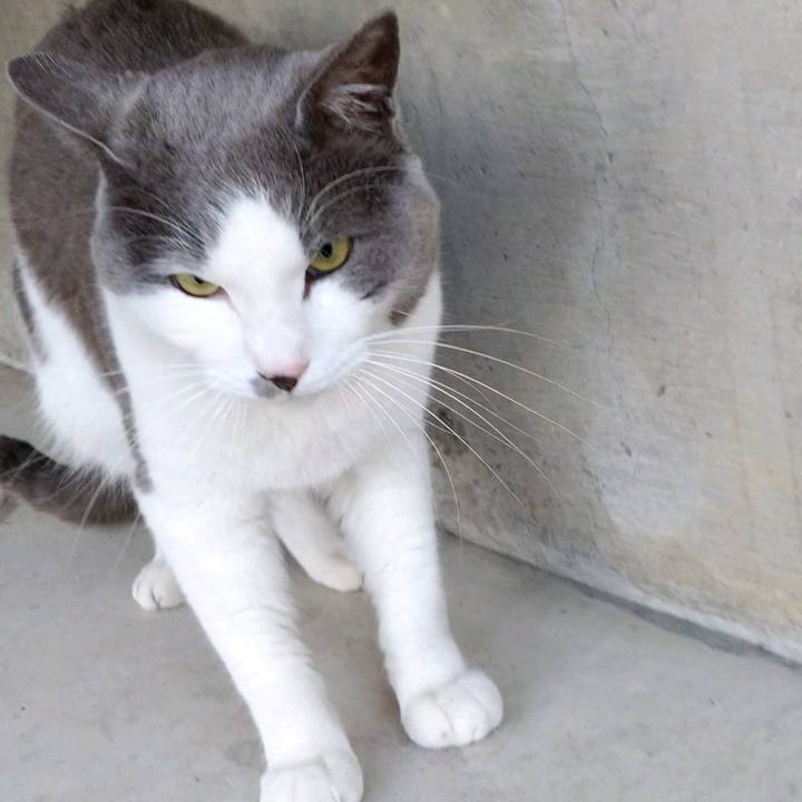 Da8c9fd0 639b 491c bf5d f85406b83468 1612394422657