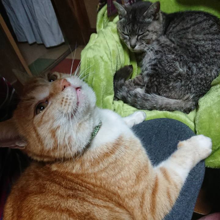 Da8cea58 d9d3 4103 8e7e 7940214c6b2e 1584094517093