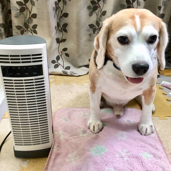 Da8d0ad5 5f7f 4c5d 8f22 ecd67317bda0 1559196540884