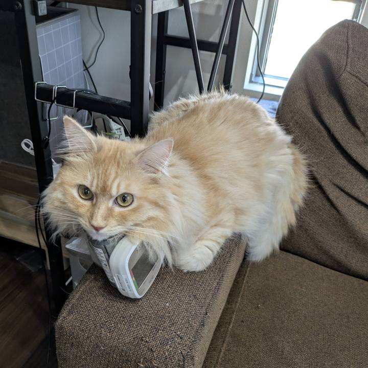 Da8d0c22 6c09 4f5f b4c6 121ec8ac84fe 1755414317902