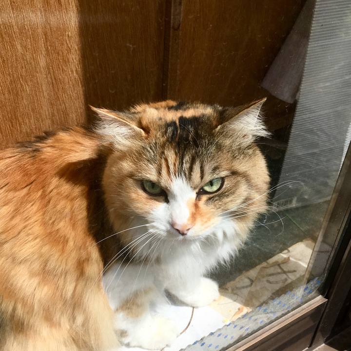 Da8d716c b158 4f83 a180 ff9ca2196060 1555537934570