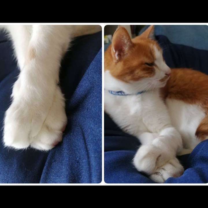 Da8da149 fbf2 4b6e 8d3c 142f25348b24 1652703321184