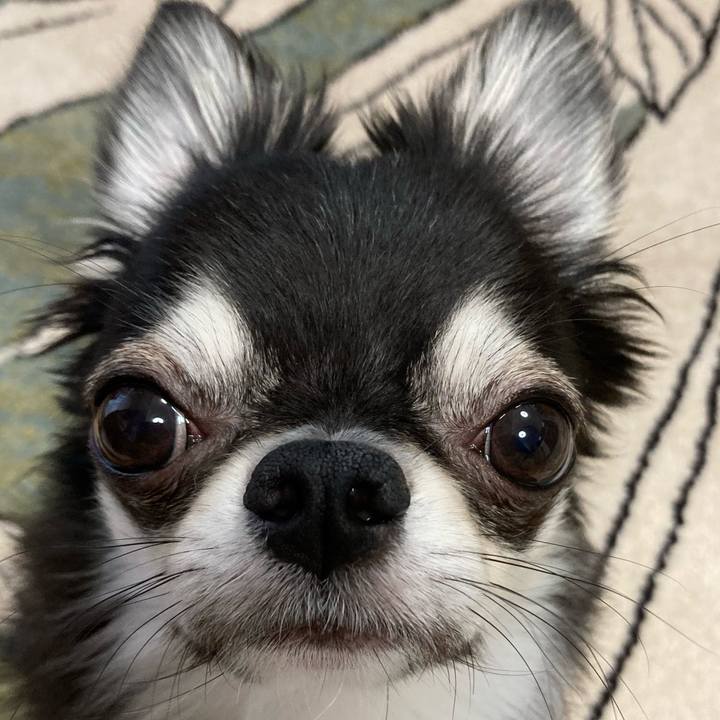 Da8dd923 52ea 448d 931e 1bd759990c6d 1628717638169