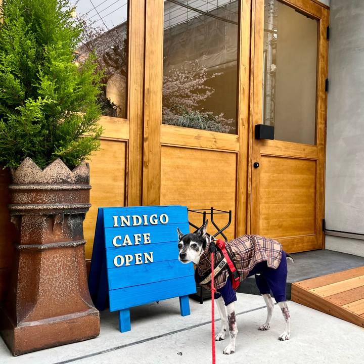 Da8dddd5 e209 436d b66f a454130d1539 1648252741596