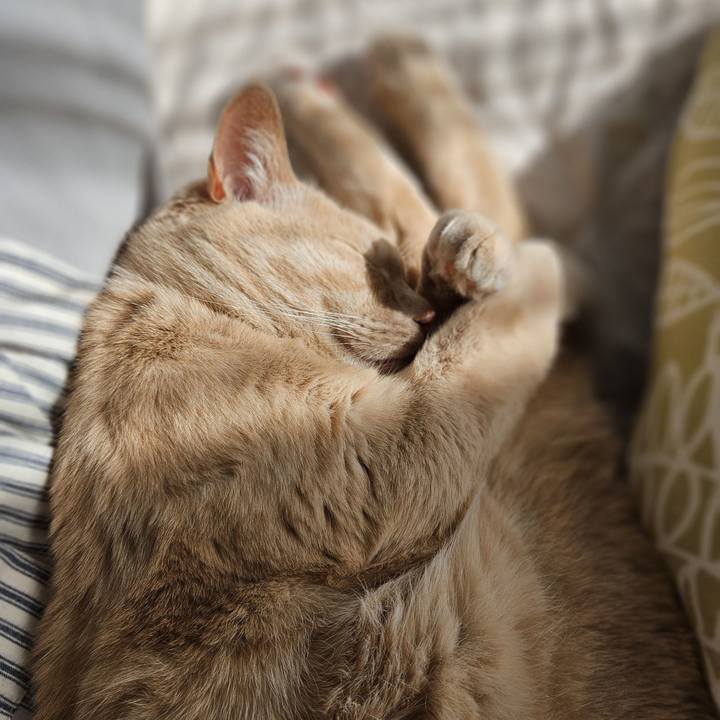 Da8e134e 30b9 4929 b9fe 56b9457f7439 1742271934190