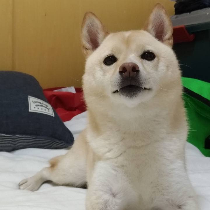 Da8e1fe7 ac00 4cf5 8959 77064a6d6558 1568720752929