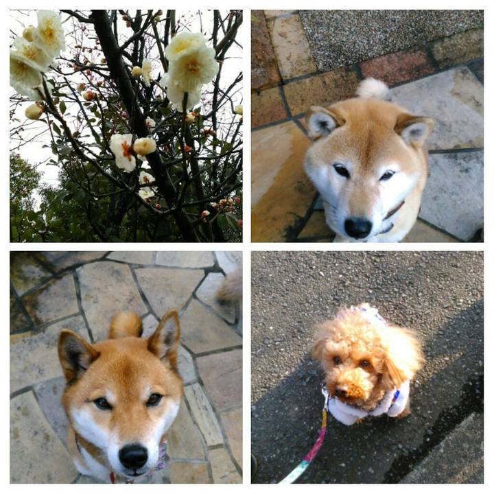 Da8e2fa7 2cd2 487b bbcb 6beb26142edd 1519371856541