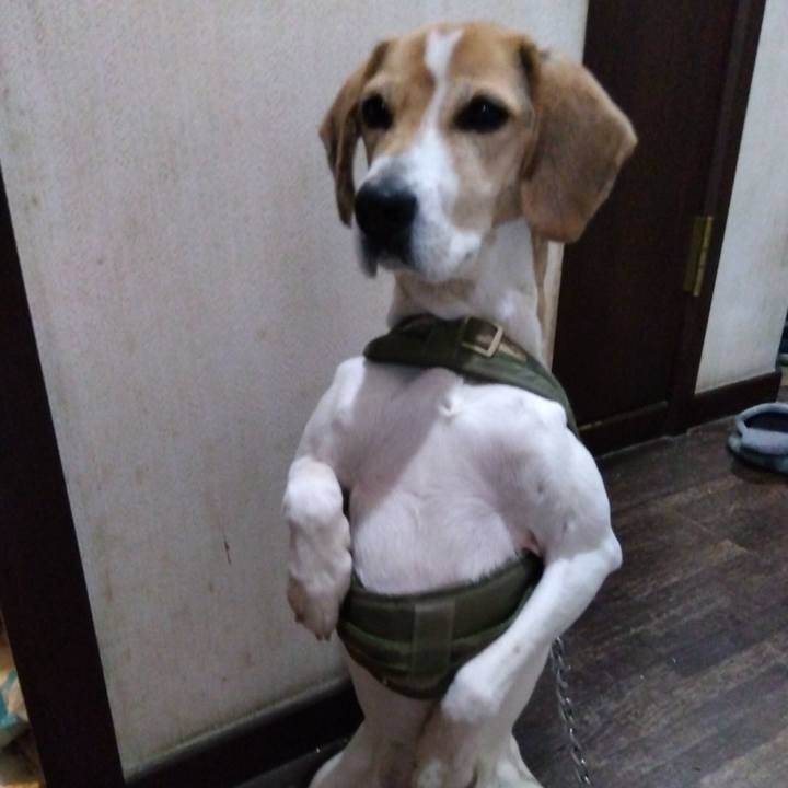 Da8e6cbd 87f3 4817 bf12 ba7089cfc1bd 1675773967602