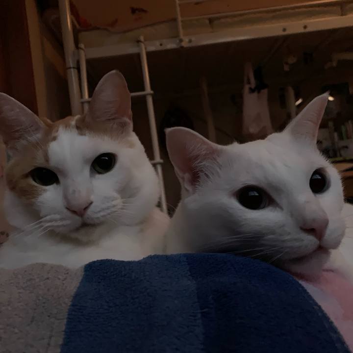 Da8e9ff8 9176 4a01 9745 04fddf82d14a 1566678485709