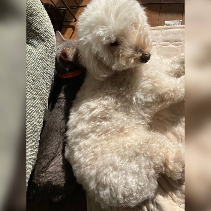 Da8ea292 d5f5 4cb7 a96c 35e389de5485 1681131556396