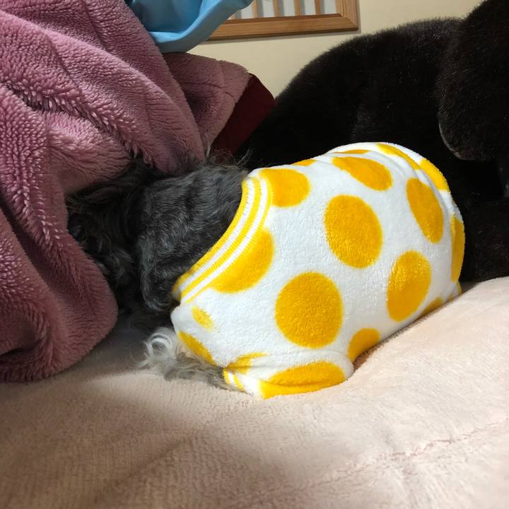 Da8eb12a 92d5 493b 803f 2383682f3dca 1513476959558