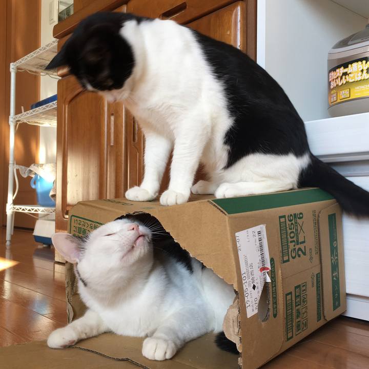 Da8ecec3 4465 4cae b2e5 c7c95a325156 1585098478192