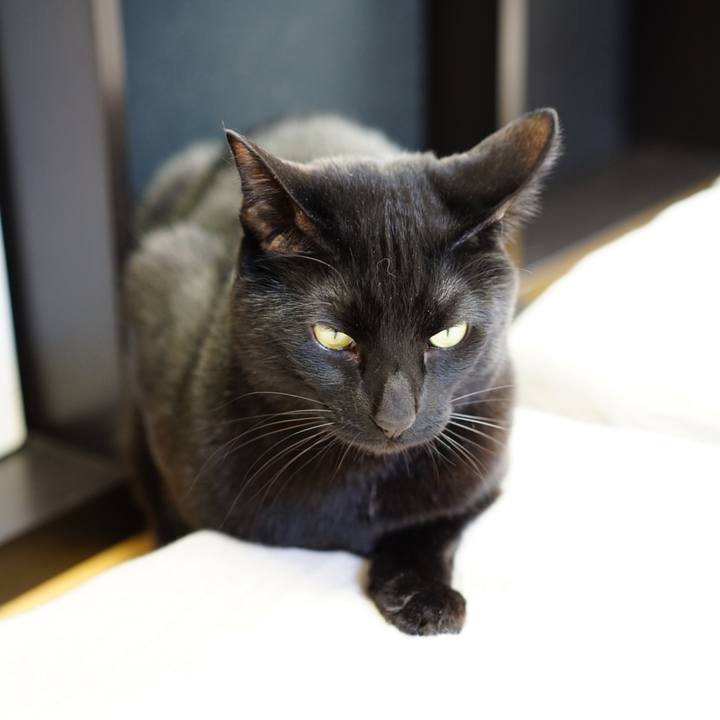 Da8ef4d6 a3b6 4f2d 8372 4d858bff933d 1554514748309