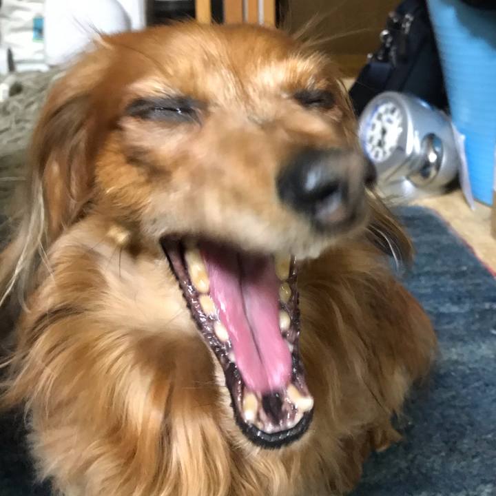 Da8f10a7 e9e8 4b4d b12a 69be340a68bc 1550501305560