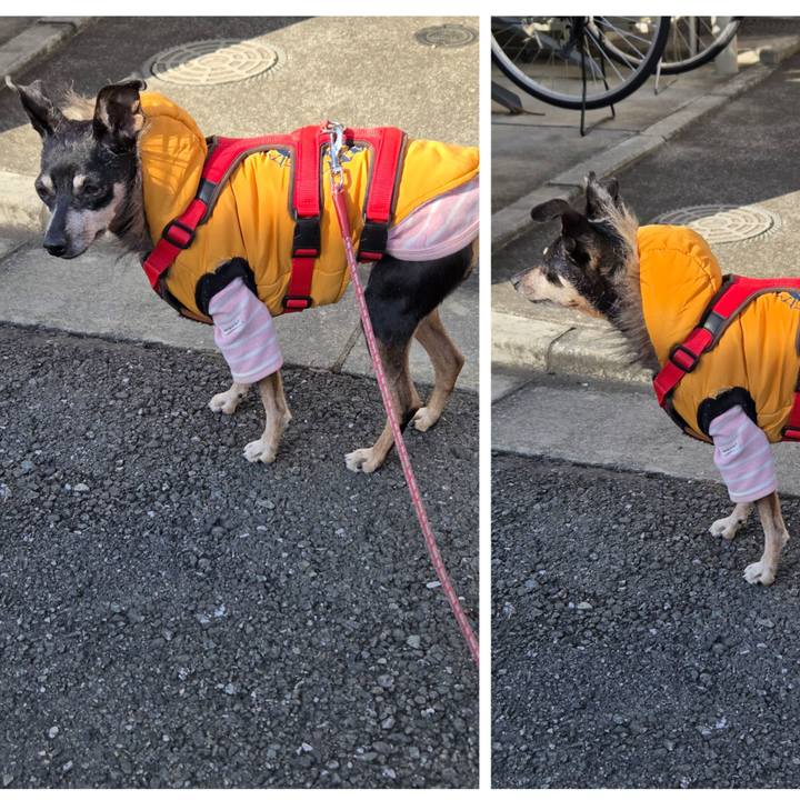 Da8f3025 613b 425f 9caf 07eff58cc59a 1764466229071