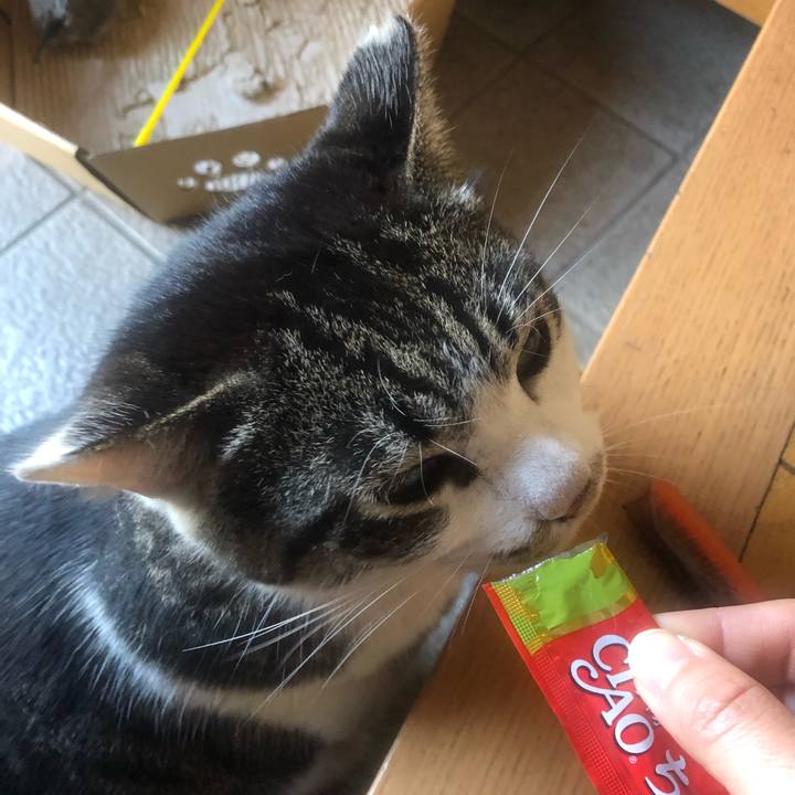 Da8f4120 098e 4ee7 9bc5 599673feb29f 1553229744488