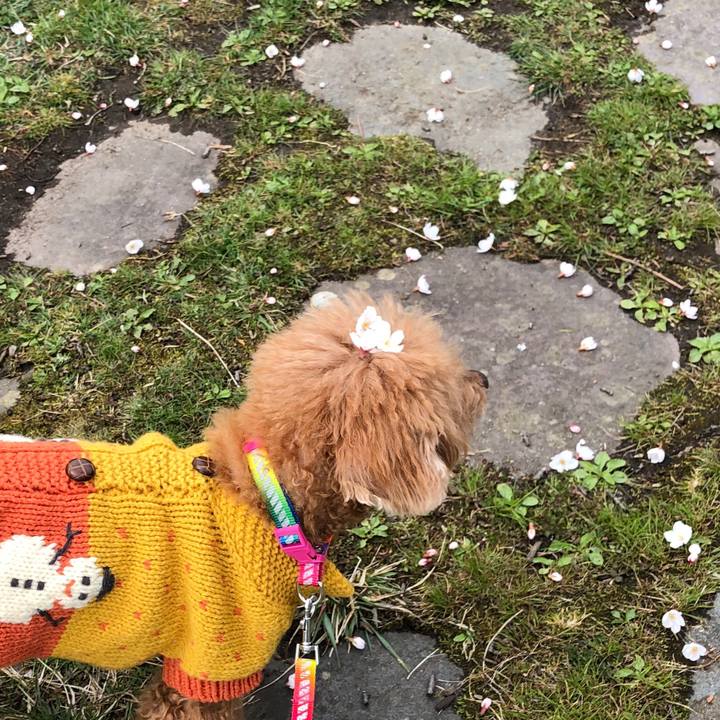 Da8f468c 5116 4029 abfa 8f9277ffe2b1 1555037725472