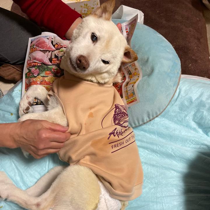 Da8f4c3c 5bd8 4457 8d48 b50588cf12ce 1669992904718