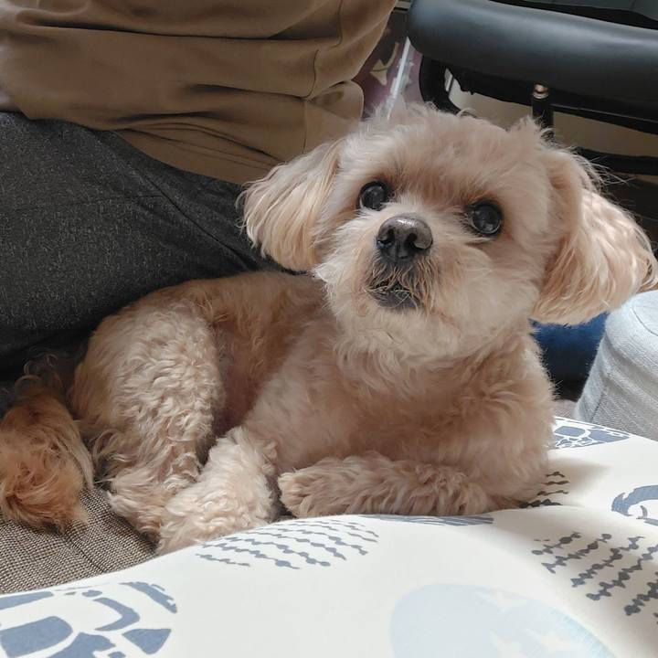 Da8f6afa 9c2c 43b8 978c fed3428299b9 1687434762902