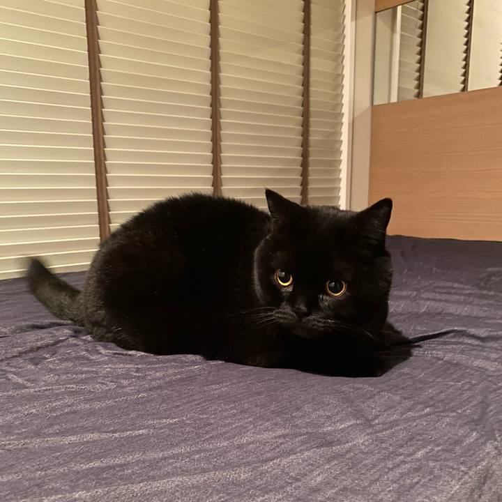 Da8f9be2 f68f 4273 8d35 d2f112d415cf 1762262199531