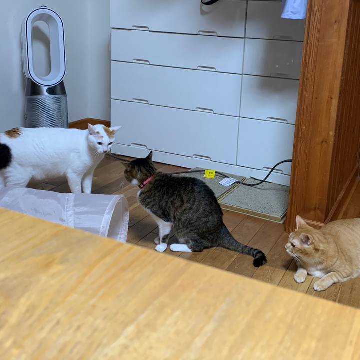 Da8fa43b de79 4782 bf34 918cf200dd4d 1666788938243