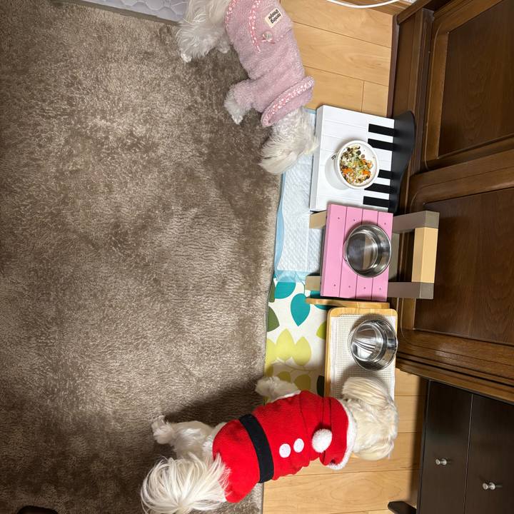 Da8fe9ea aec1 4a1d a91a 4546e5e1083b 1735040832467