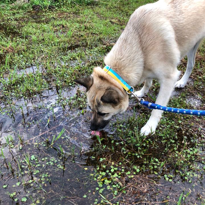 Da8fef18 aa6e 451c 9863 2bc054430dd2 1528720780455