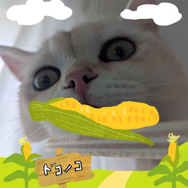 Da8fff5f 4488 4650 85b5 a40d781db542 1786742558984