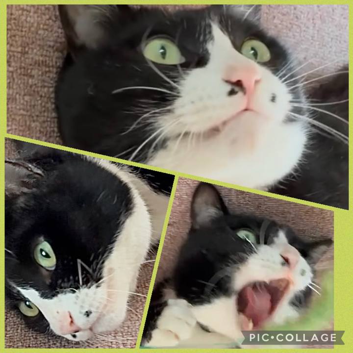 Da9047d1 d17b 415f af05 2507c05c8cd7 1773399691963