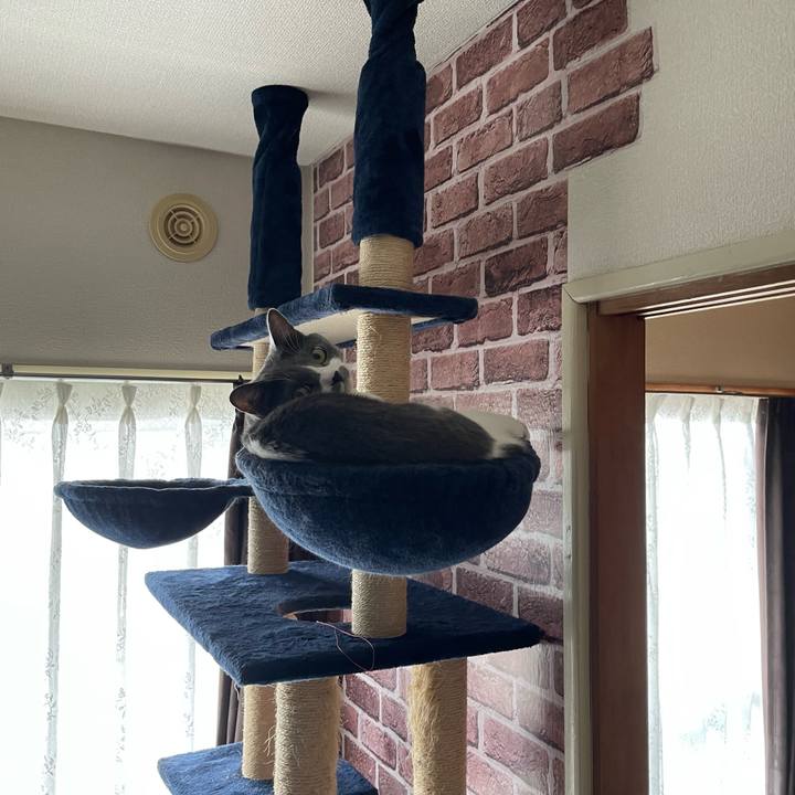 Da905595 30d2 498b 8955 058b9d9ea862 1661497133832