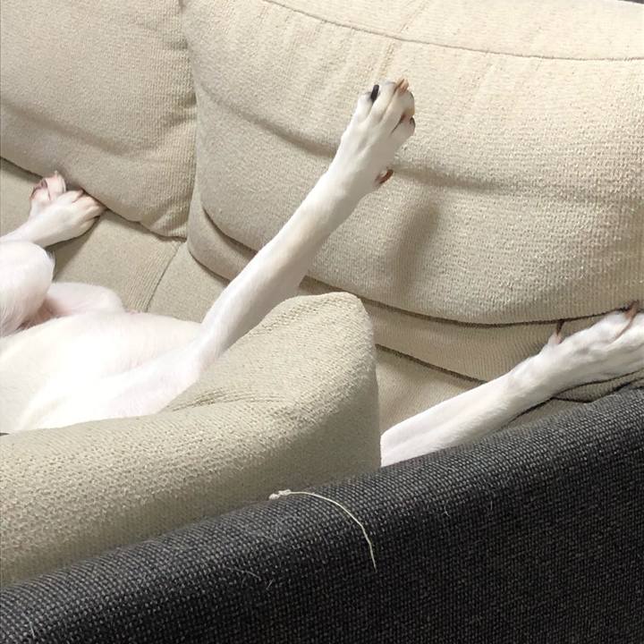 Da90aa20 3c4c 4496 9ae3 bc622fcf4af2 1573652727712