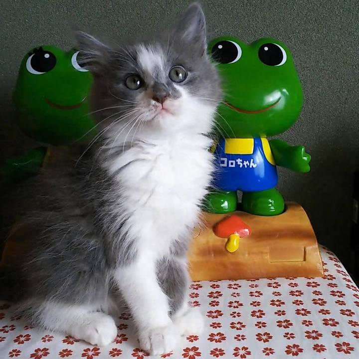 Da90e3d6 cbd2 40d3 94ef 6c673fc53d82 1560914224803